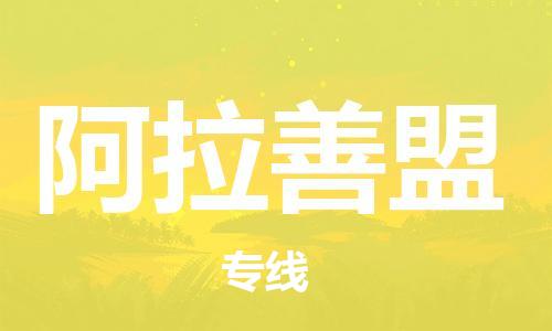 石家庄到阿拉善盟物流公司/石家庄到阿拉善盟物流专线