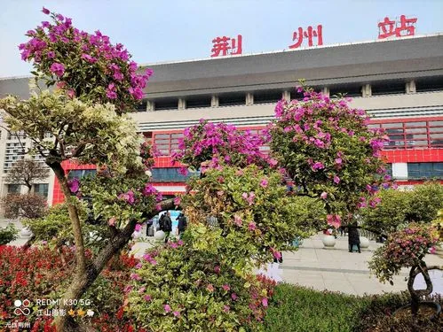 石家庄到荆州物流专线-石家庄到荆州物流公司