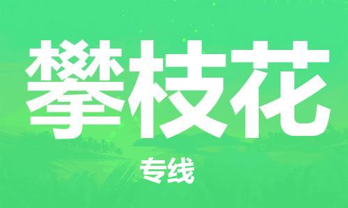 石家庄到攀枝花物流公司/石家庄到攀枝花物流专线