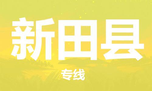 石家庄到新田县物流公司/石家庄到新田县物流专线