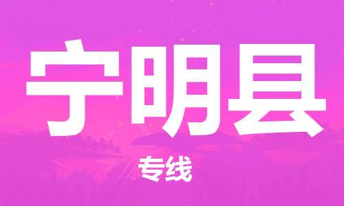 石家庄到宁明县物流公司/石家庄到宁明县物流专线
