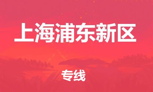 石家庄到上海浦东新区物流公司//石家庄到上海浦东新区物流专线，行李托运，轿车托运