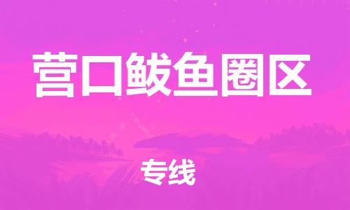 石家庄到营口鲅鱼圈区物流公司/石家庄到营口鲅鱼圈区物流专线
