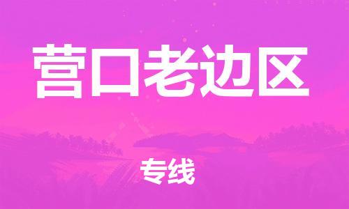 石家庄到营口老边区物流公司/石家庄到营口老边区物流专线