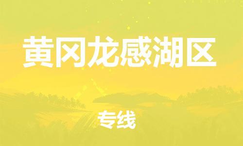 石家庄到黄冈龙感湖区物流公司/石家庄到黄冈龙感湖区物流专线