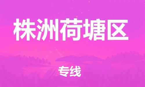 石家庄到株洲荷塘区物流公司/石家庄到株洲荷塘区物流专线