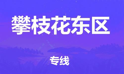 石家庄到攀枝花东区物流公司/石家庄到攀枝花东区物流专线