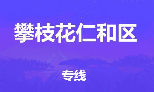 石家庄到攀枝花仁和区物流公司/石家庄到攀枝花仁和区物流专线