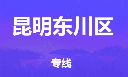石家庄到昆明东川区物流公司/石家庄到昆明东川区物流专线